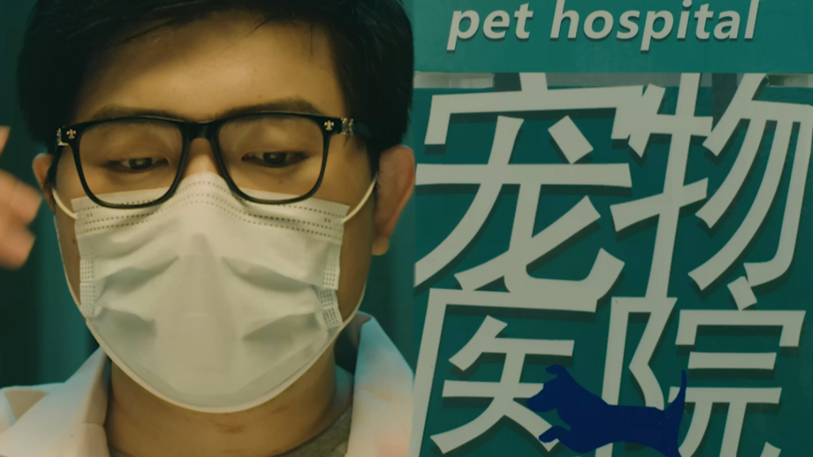 Q酱爱宠命悬一线 宠物医生桥林妙手回春